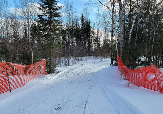 Black Bear Connector Trail