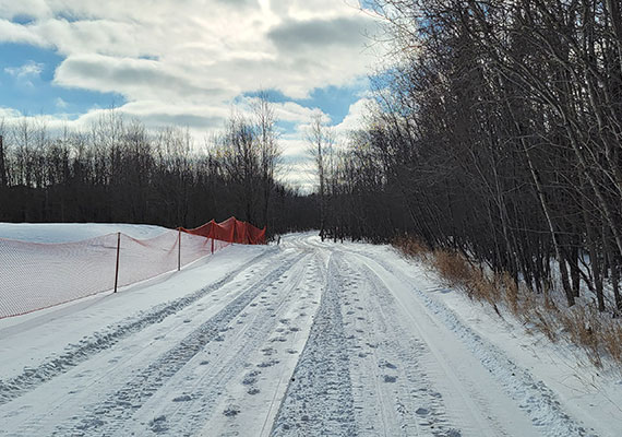 Black Bear Connector Trail